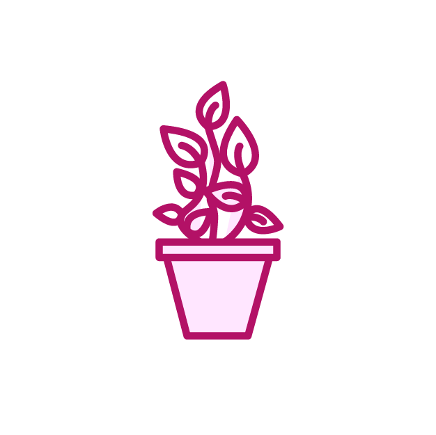 pageproduit_arrosageplantes.png